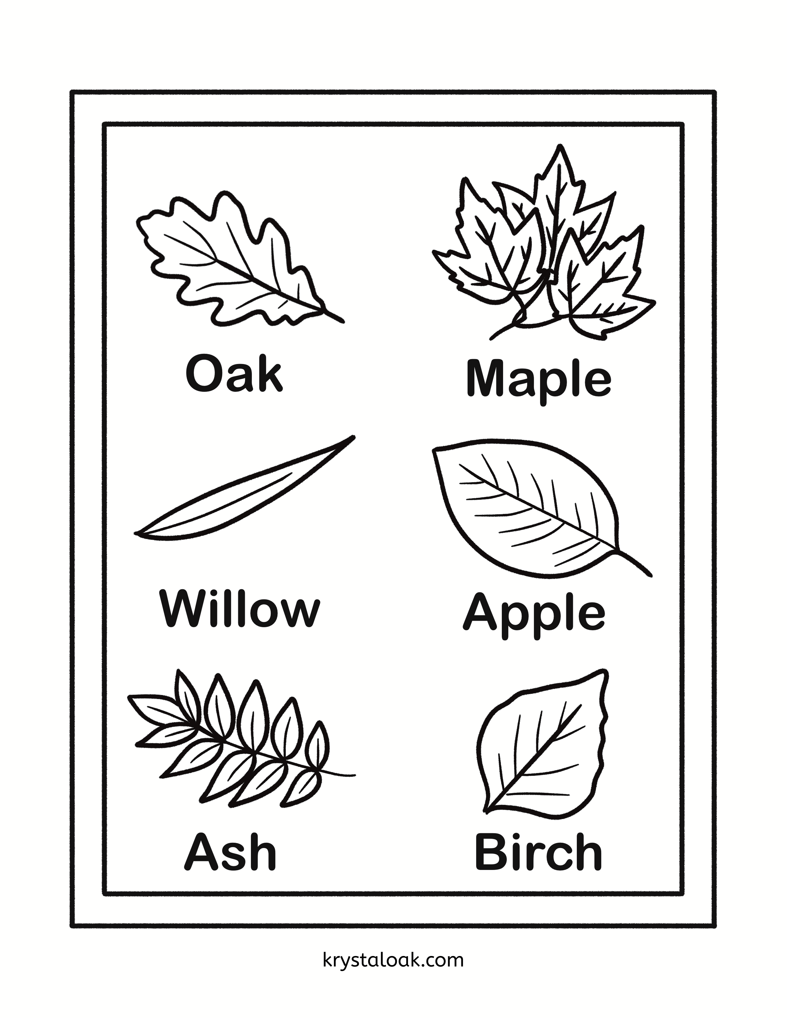 Preview of Free September Leaf Learner Coloring Page